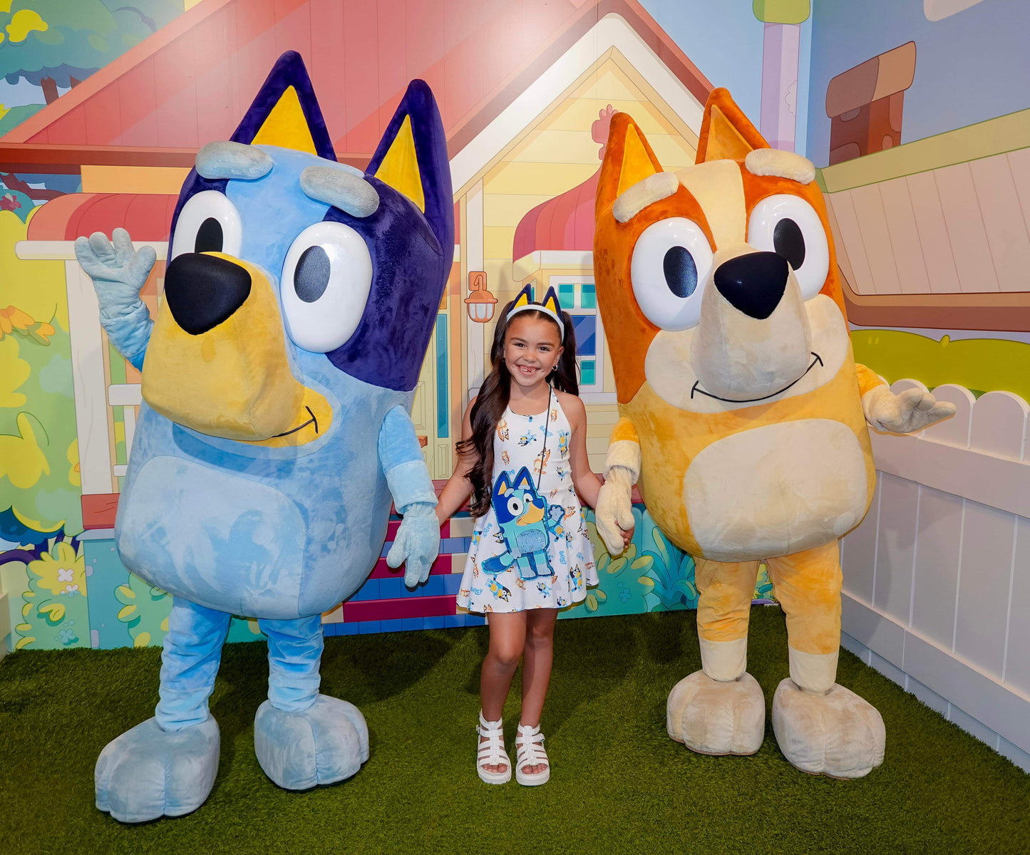 Blue Dog Dakota Dress